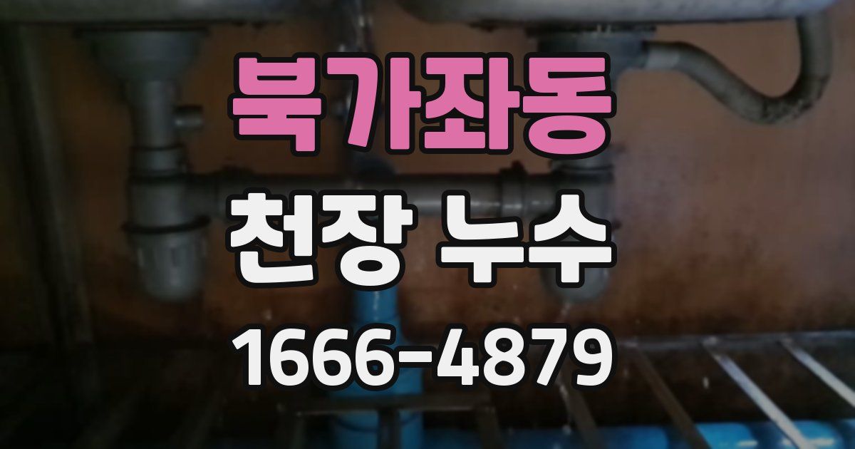북가좌동 천장 누수