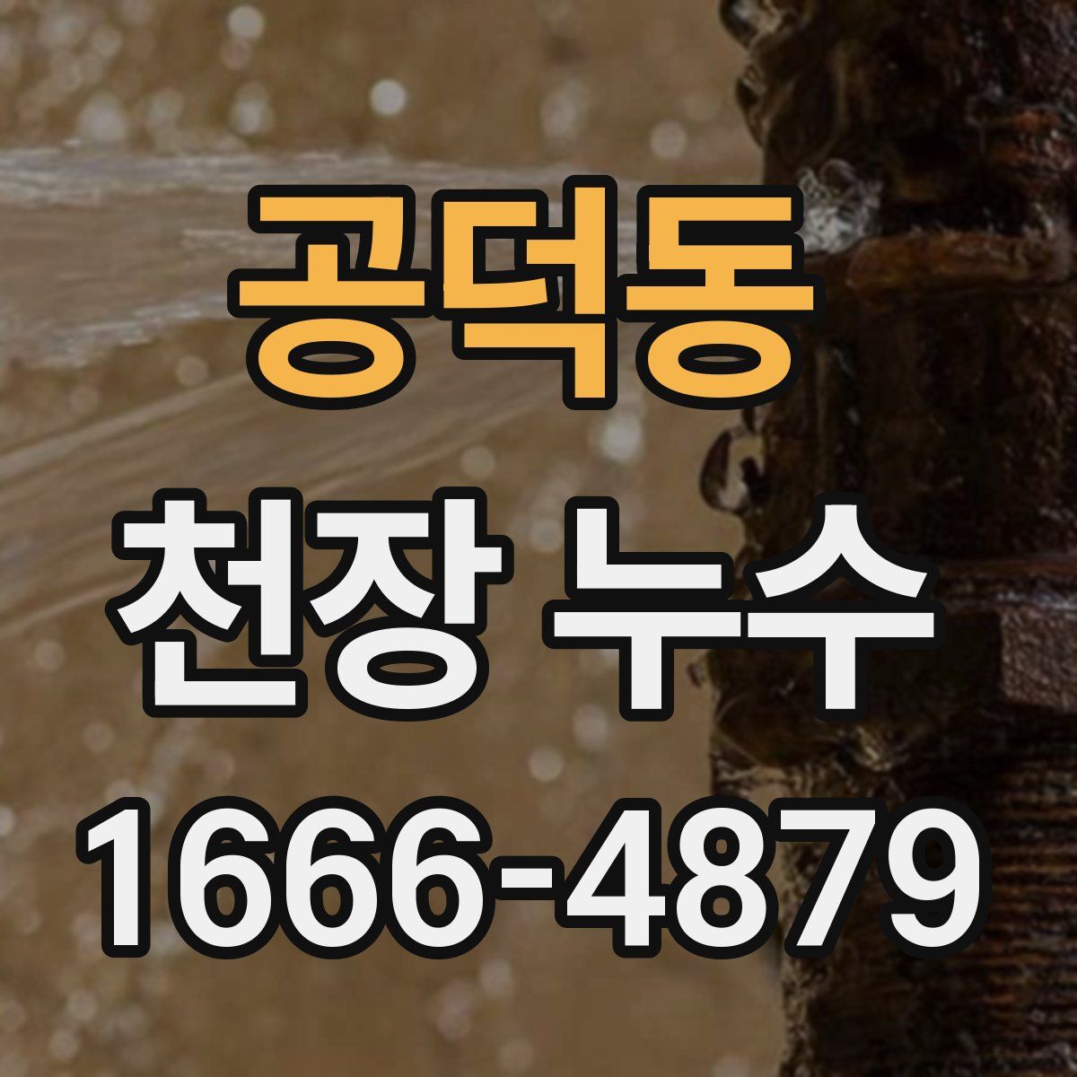 공덕동 천장 누수