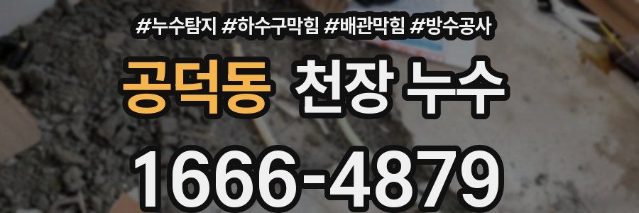 공덕동 천장 누수
