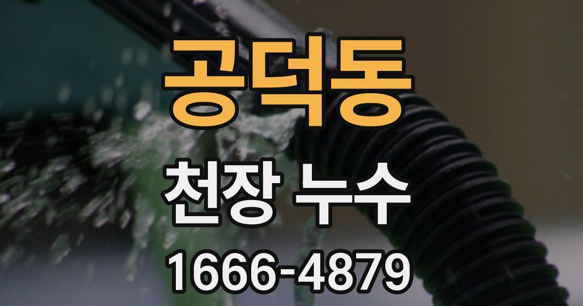 공덕동 천장 누수