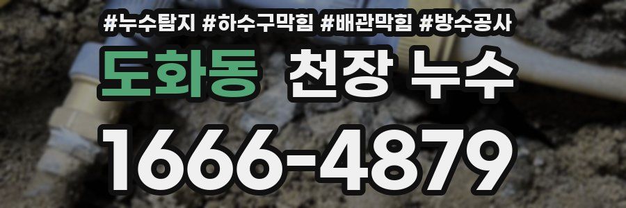 도화동 천장 누수