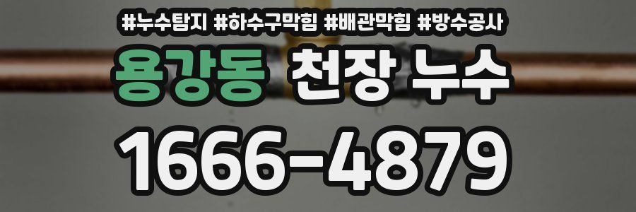 용강동 천장 누수