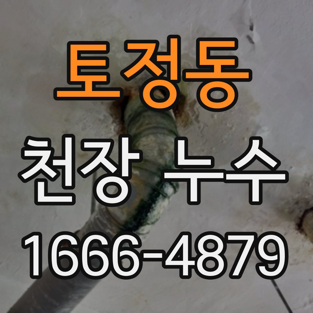 토정동 천장 누수