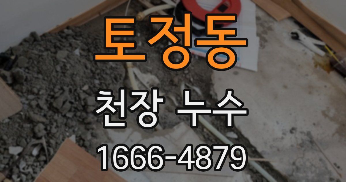 토정동 천장 누수