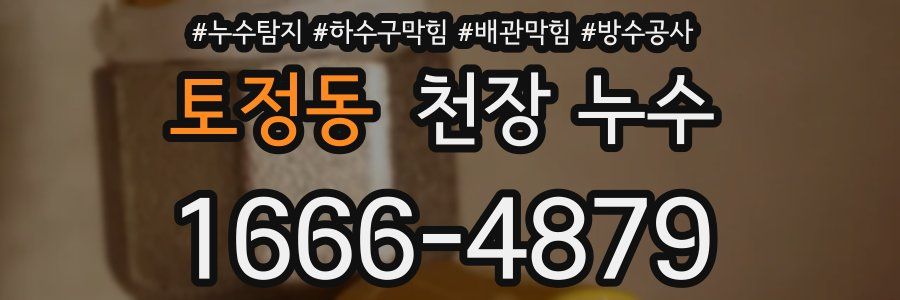 토정동 천장 누수