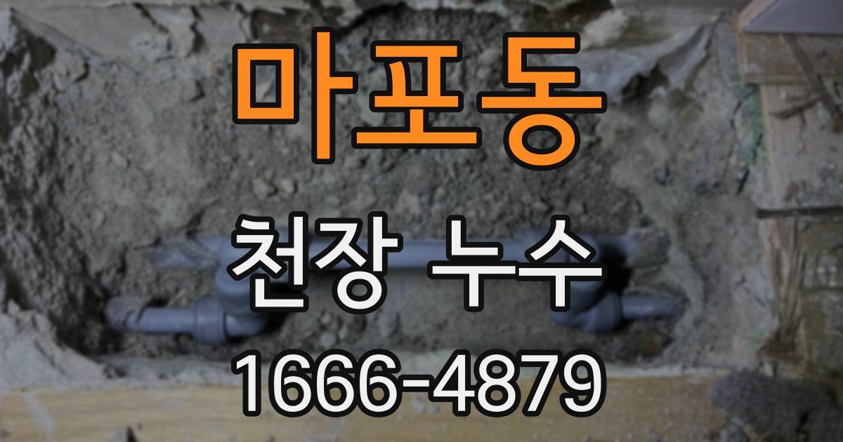 마포동 천장 누수