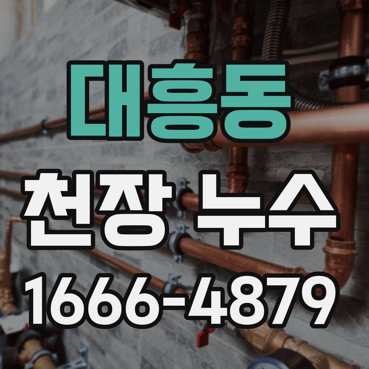 대흥동 천장 누수