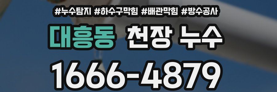 대흥동 천장 누수