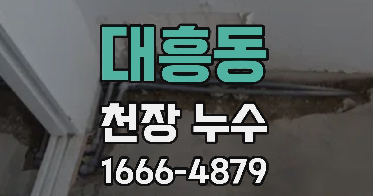 대흥동 천장 누수
