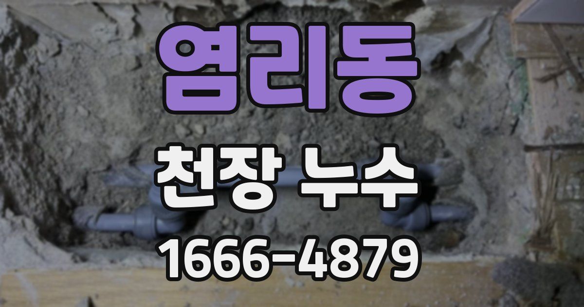 염리동 천장 누수
