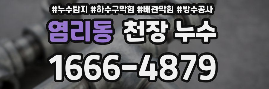 염리동 천장 누수