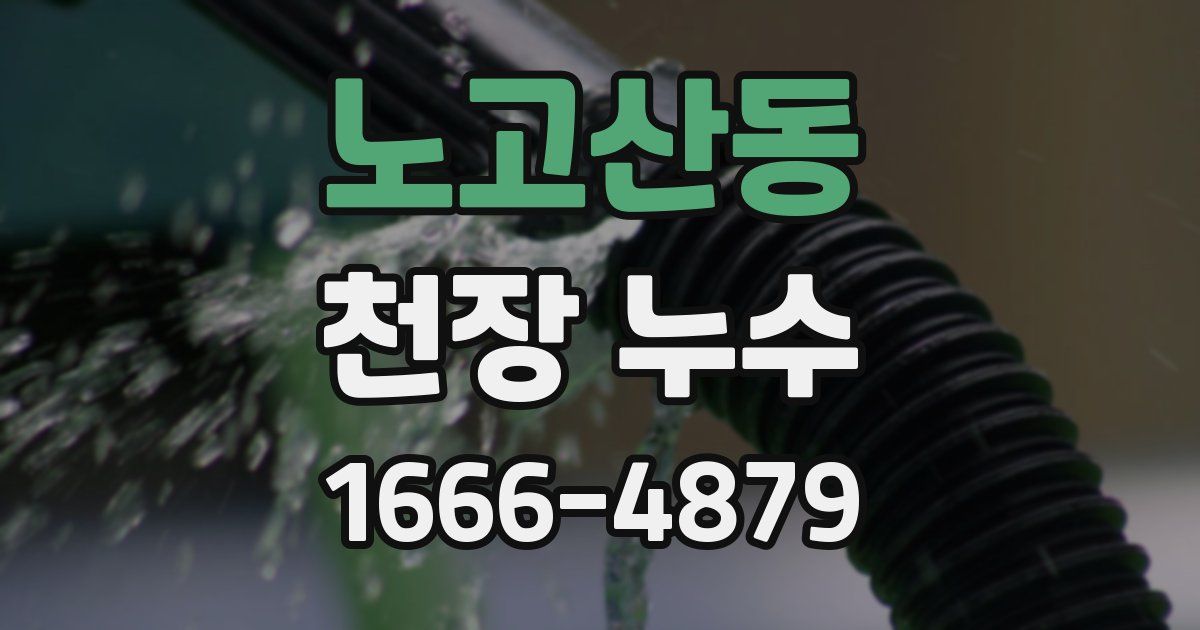 노고산동 천장 누수
