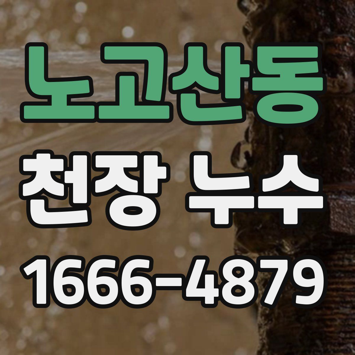 노고산동 천장 누수