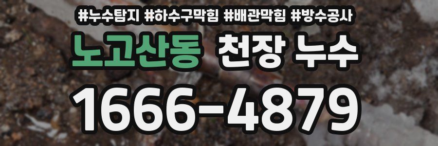 노고산동 천장 누수