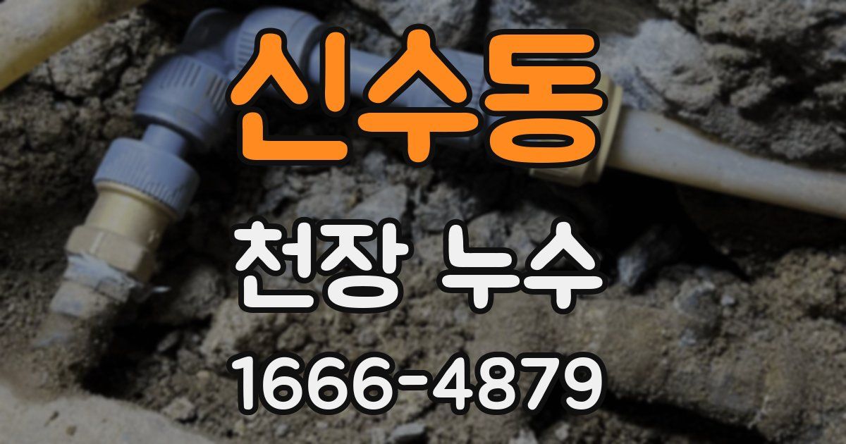신수동 천장 누수