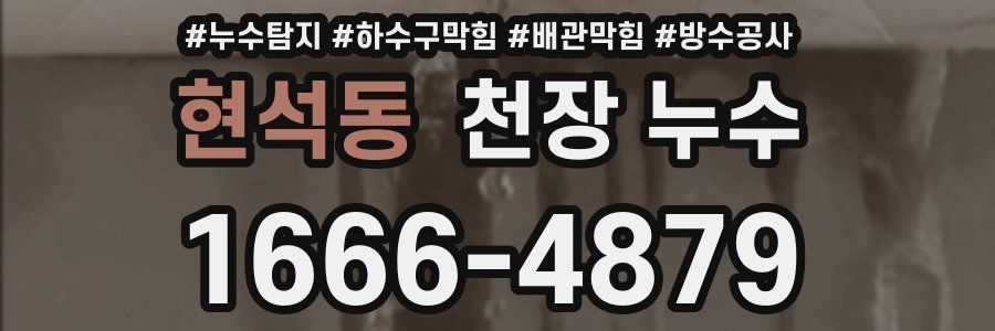 현석동 천장 누수