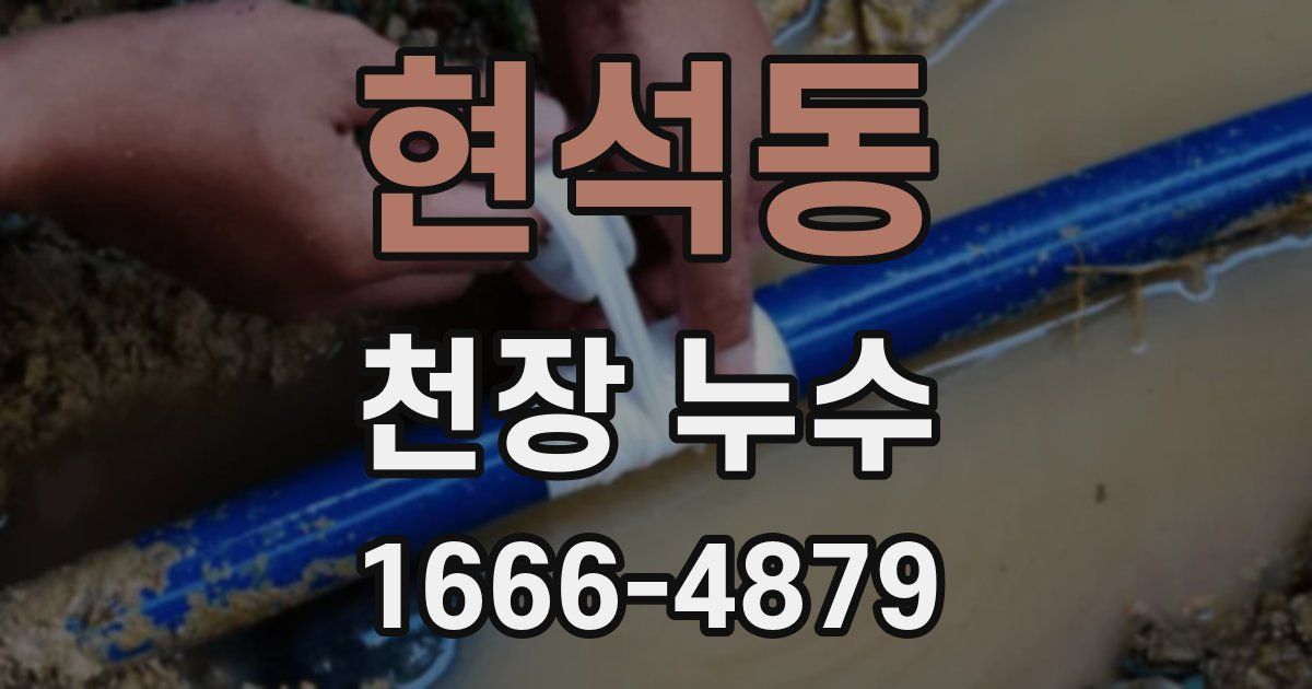 현석동 천장 누수