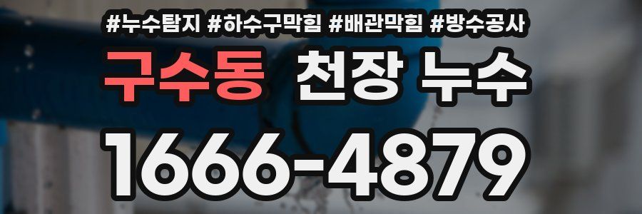 구수동 천장 누수