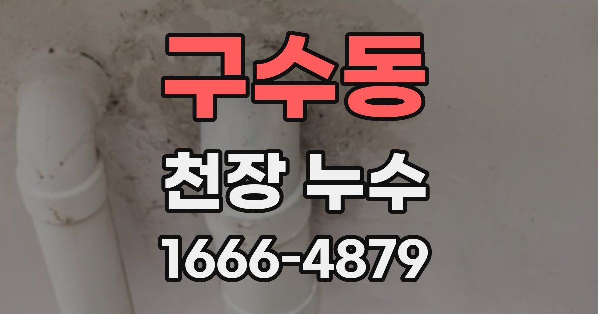 구수동 천장 누수