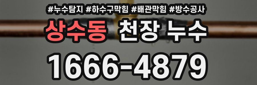 상수동 천장 누수