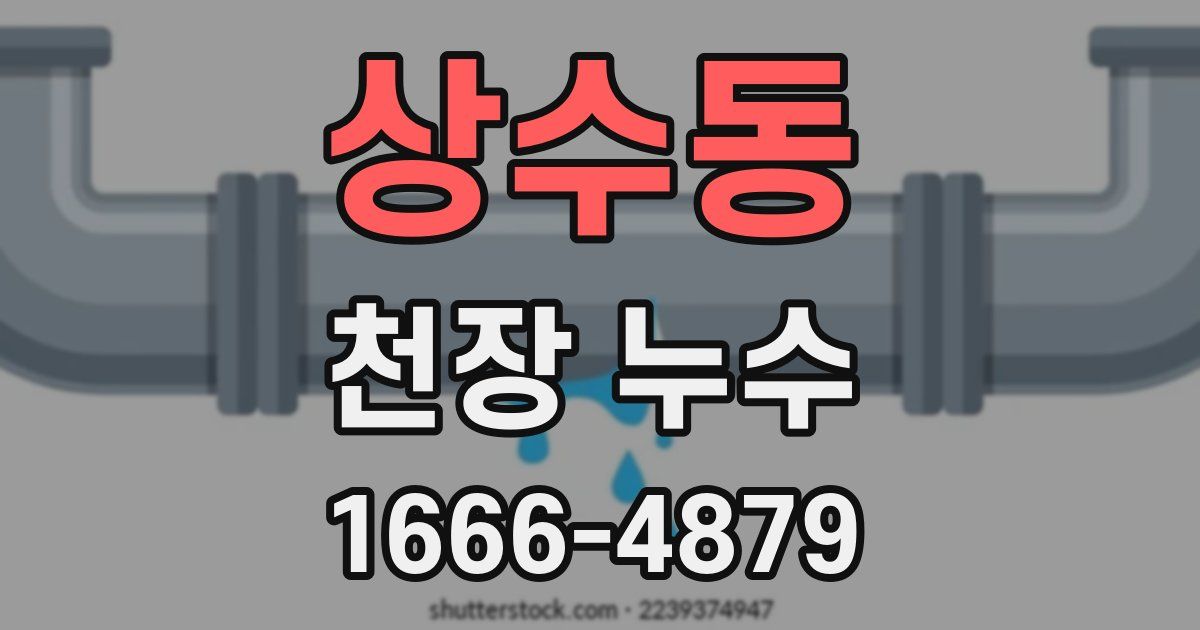 상수동 천장 누수
