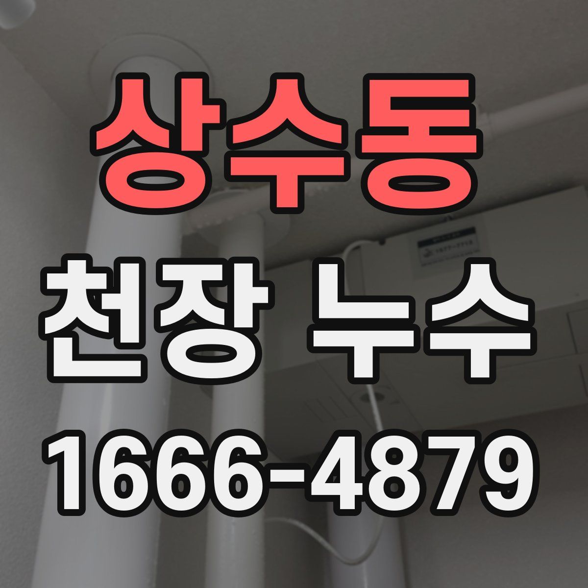 상수동 천장 누수