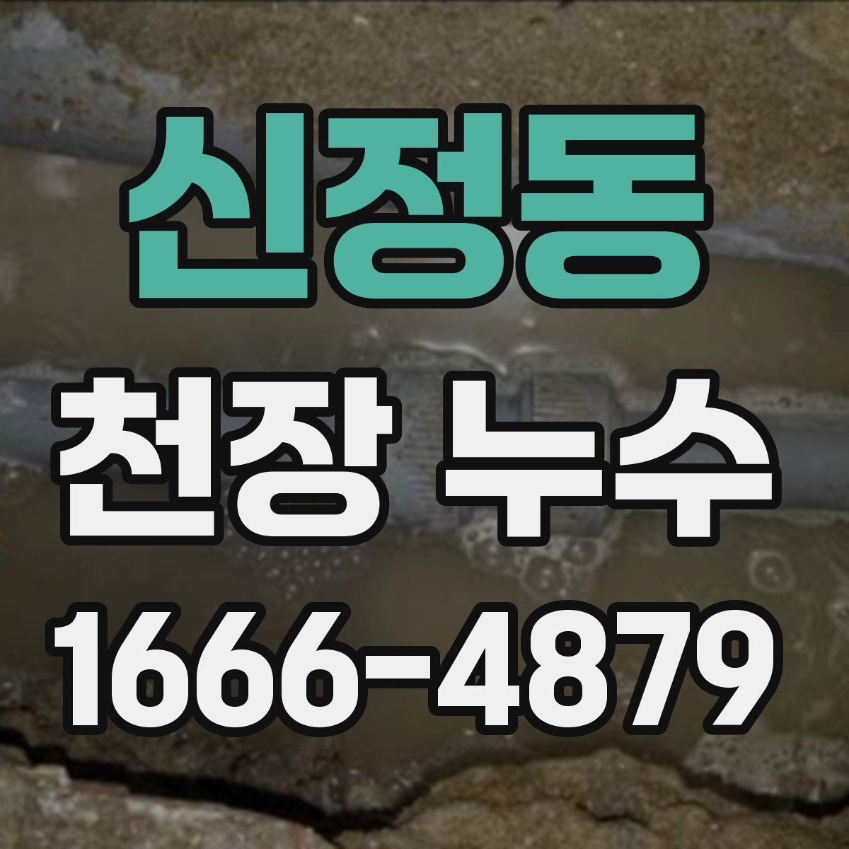 신정동 천장 누수