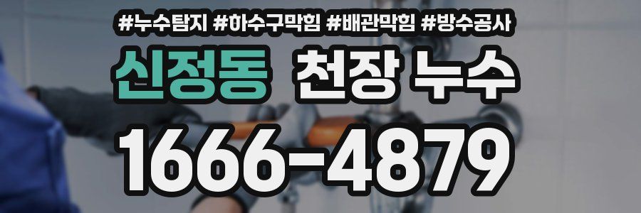 신정동 천장 누수