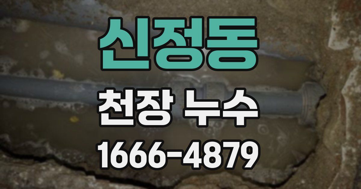 신정동 천장 누수