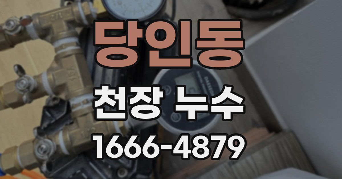 당인동 천장 누수