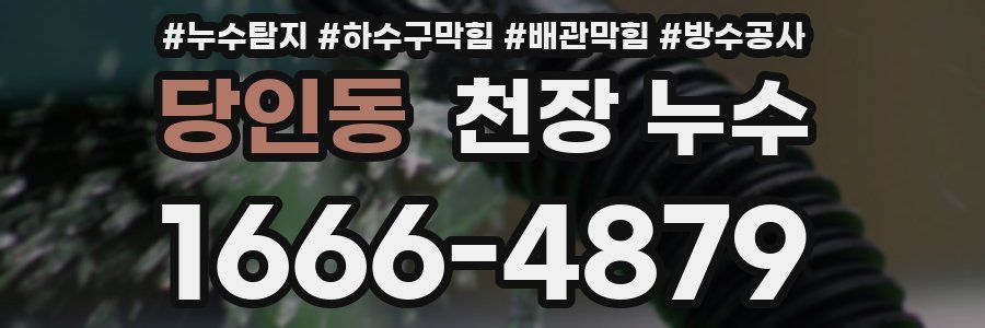 당인동 천장 누수