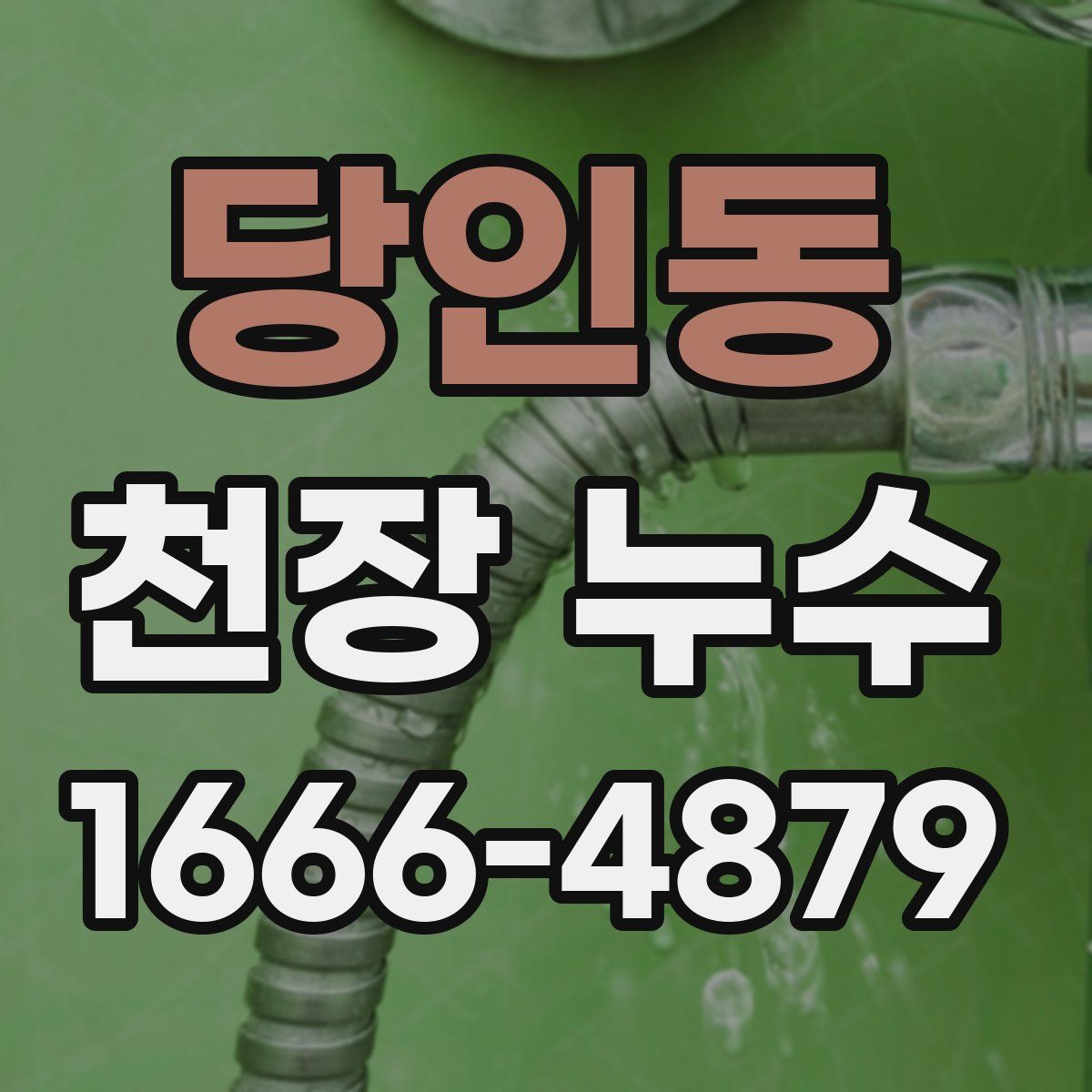 당인동 천장 누수