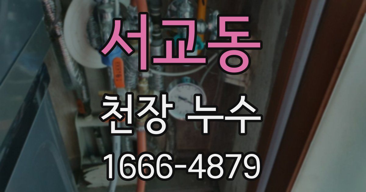 서교동 천장 누수