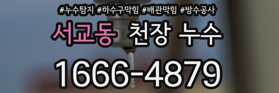 서교동 천장 누수