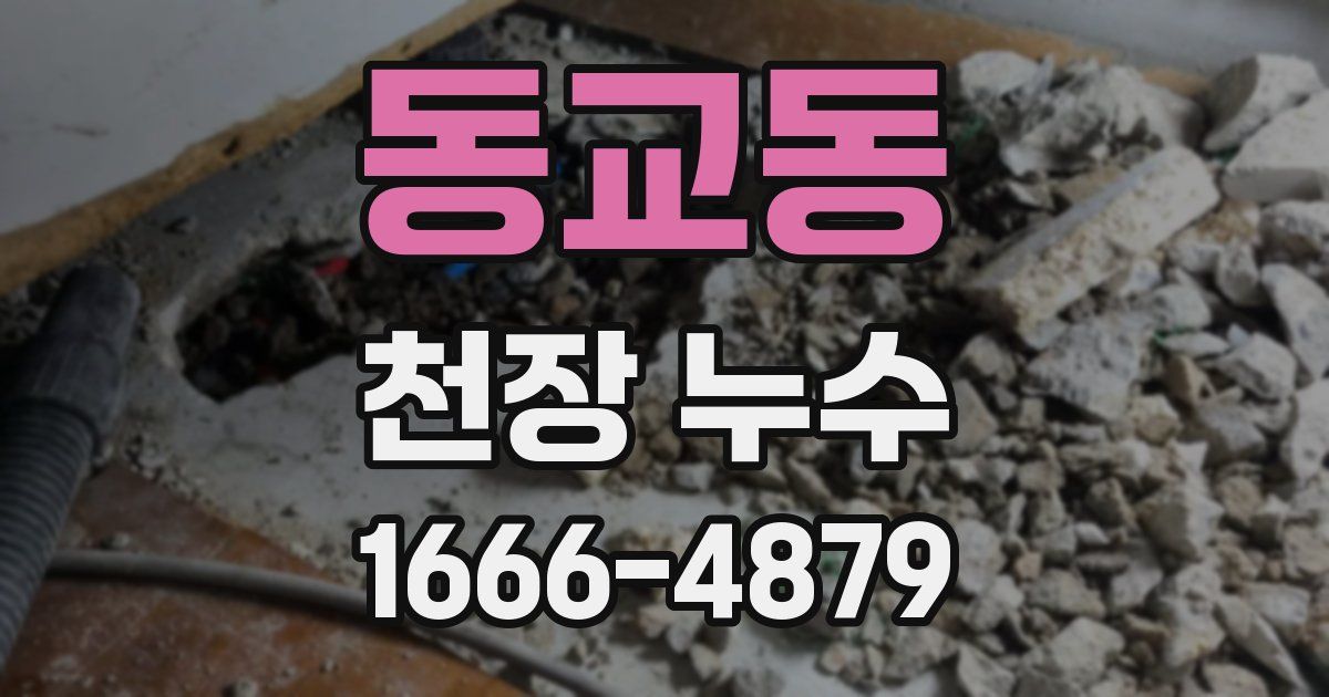 동교동 천장 누수