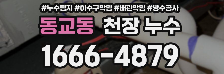 동교동 천장 누수