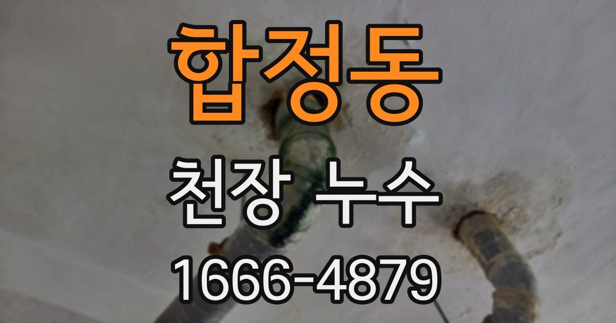 합정동 천장 누수