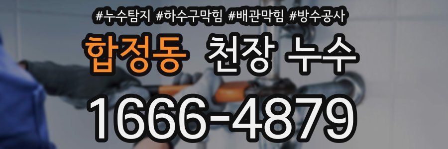 합정동 천장 누수
