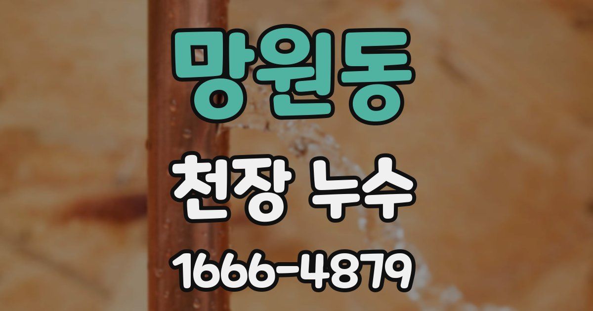 망원동 천장 누수