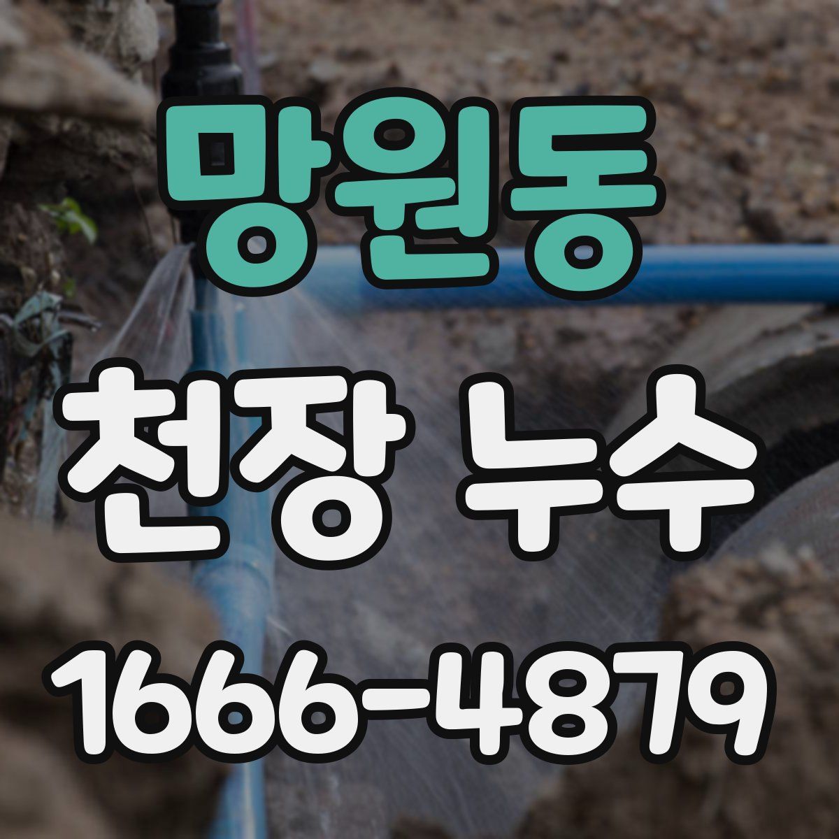 망원동 천장 누수