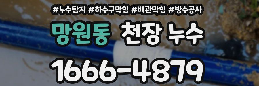 망원동 천장 누수