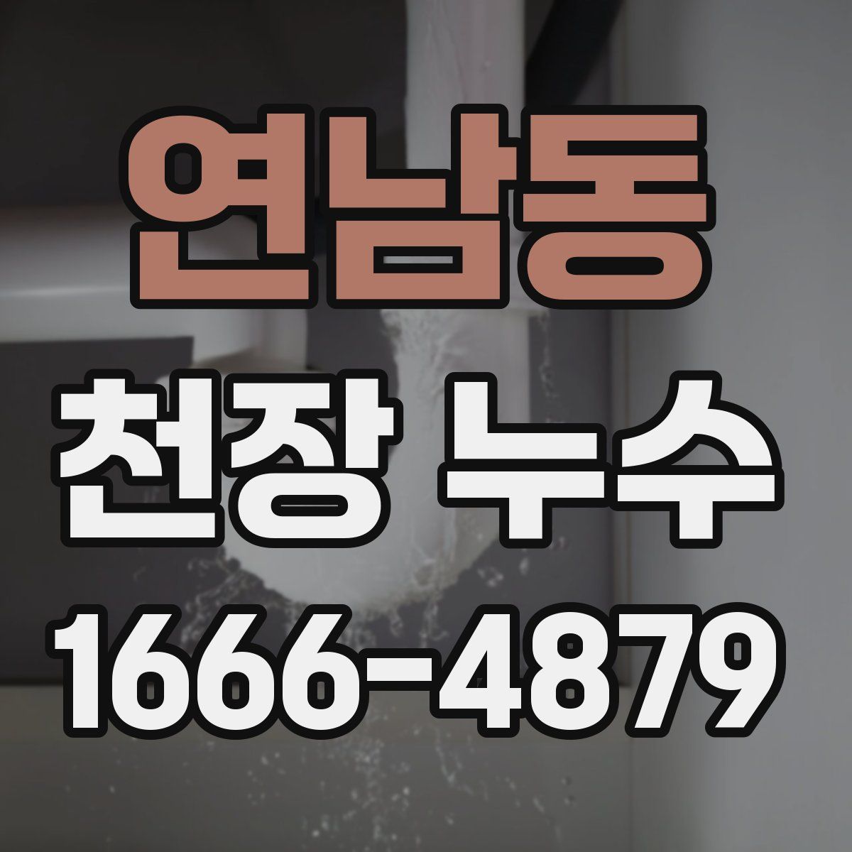 연남동 천장 누수