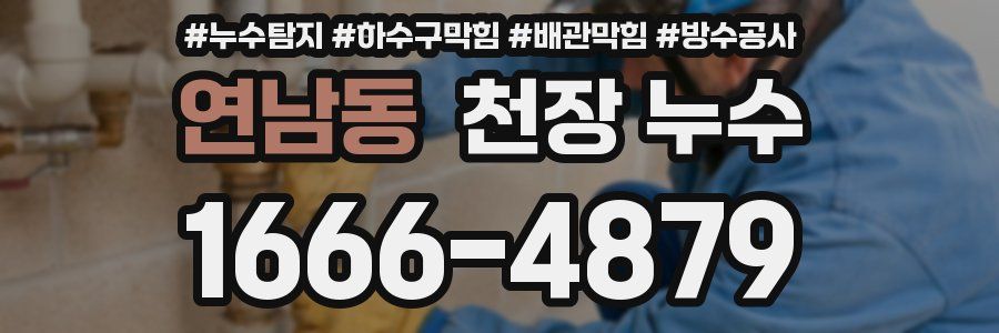 연남동 천장 누수