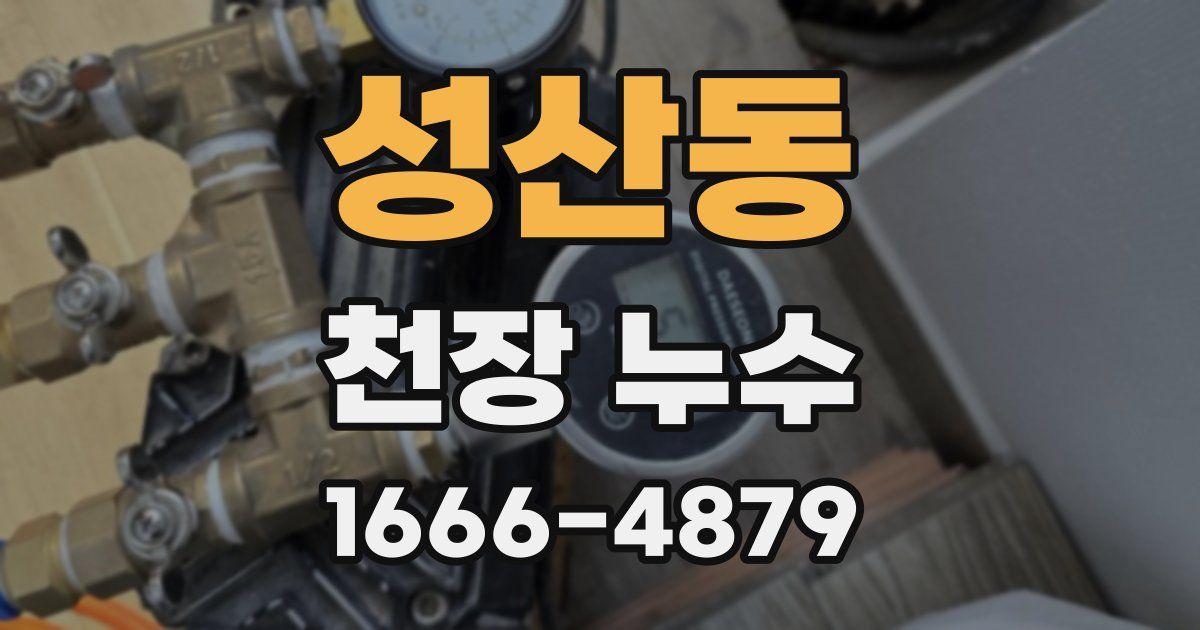 성산동 천장 누수
