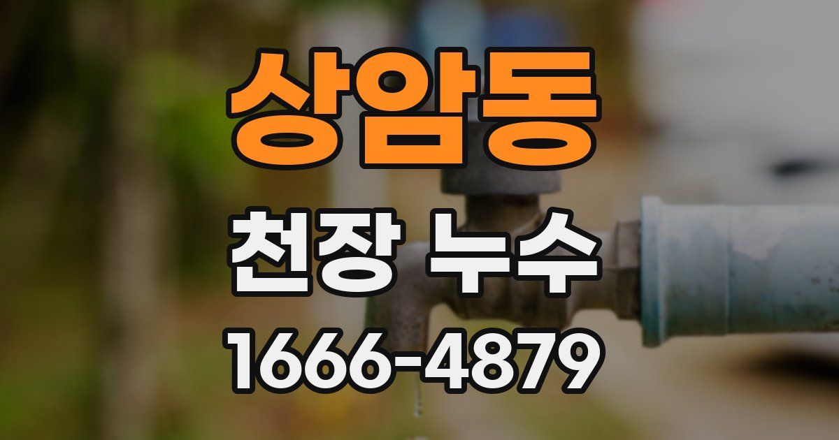 상암동 천장 누수