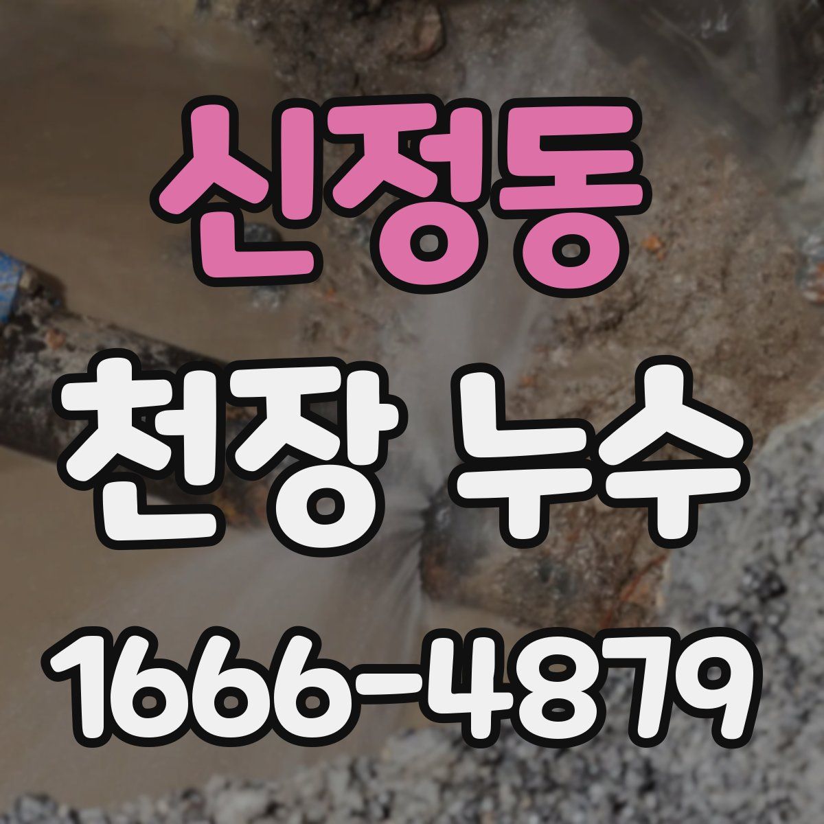 신정동 천장 누수