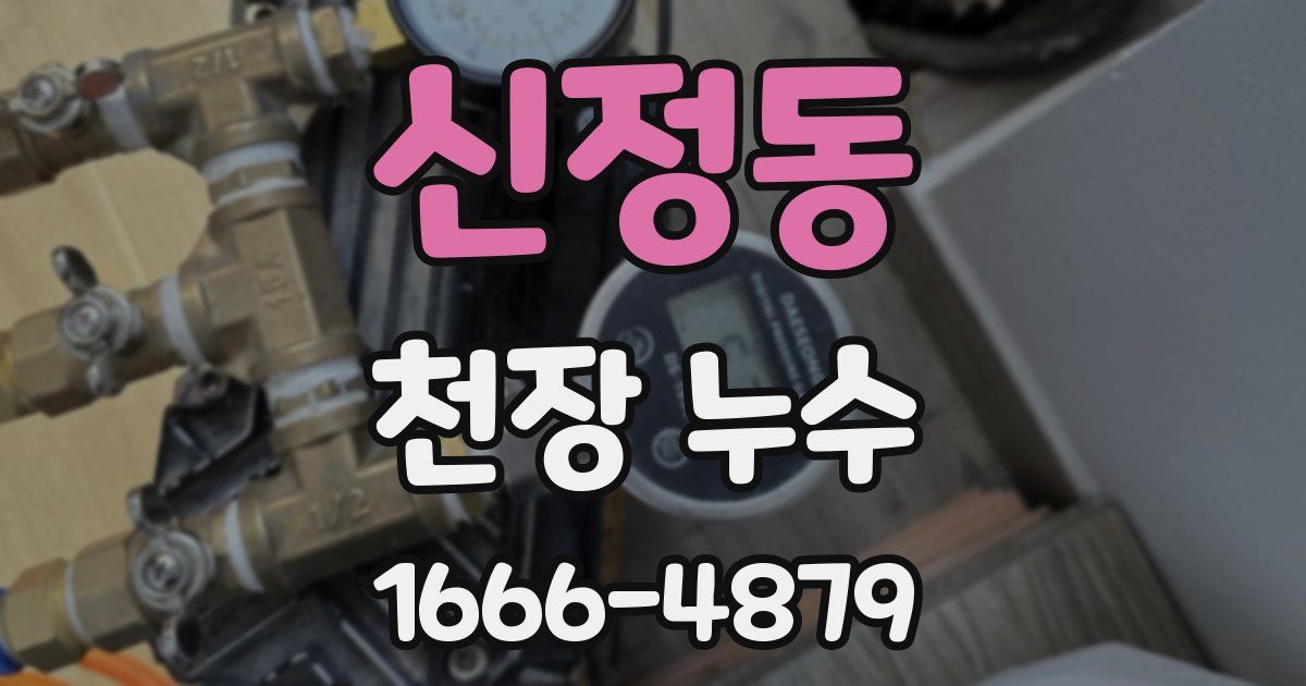 신정동 천장 누수