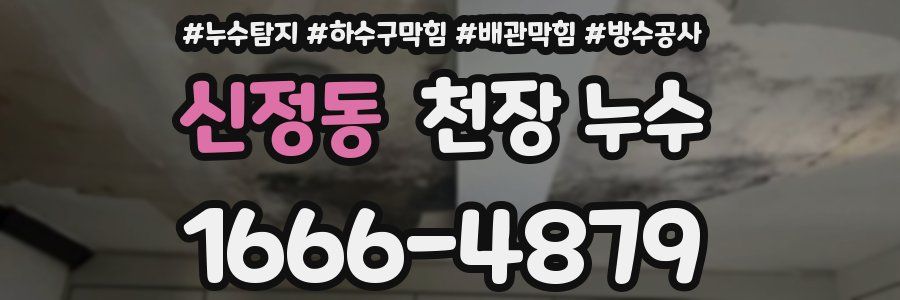 신정동 천장 누수