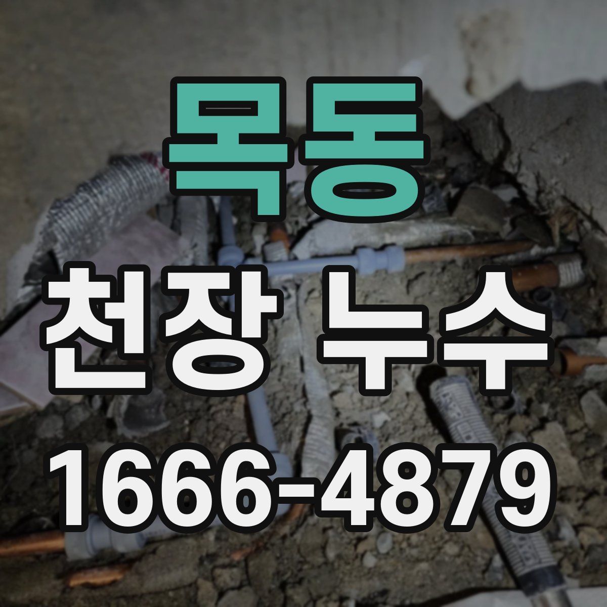 목동 천장 누수