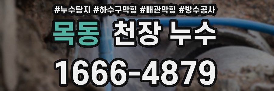 목동 천장 누수